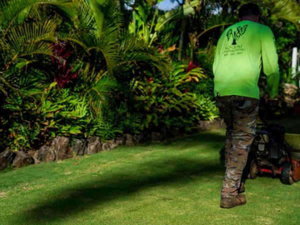 Koʻolau Landscaping: Trusted HOA Landscaping Services Across Oʻahu