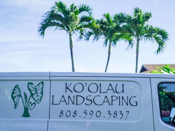 Best Landscaping Services in Oahu: What to Look For