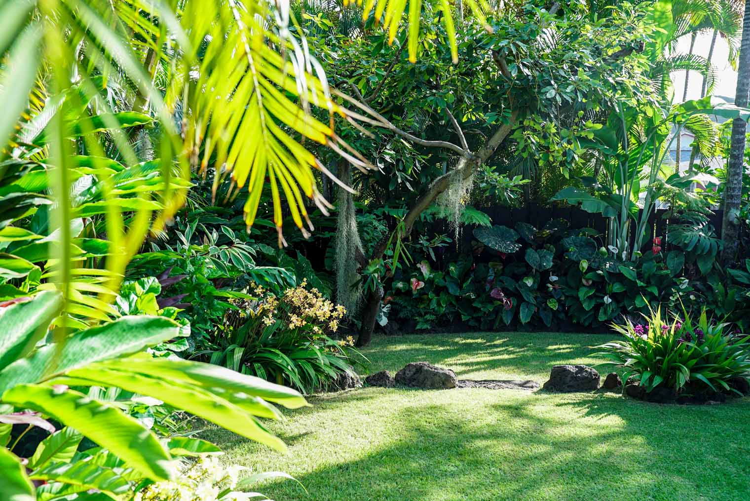 koolau landscaping