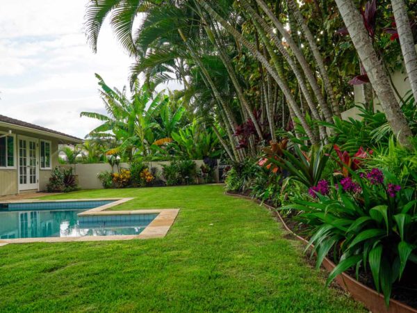 Why Windward Oahu Landscaping Is Different (And How to Get It Right)