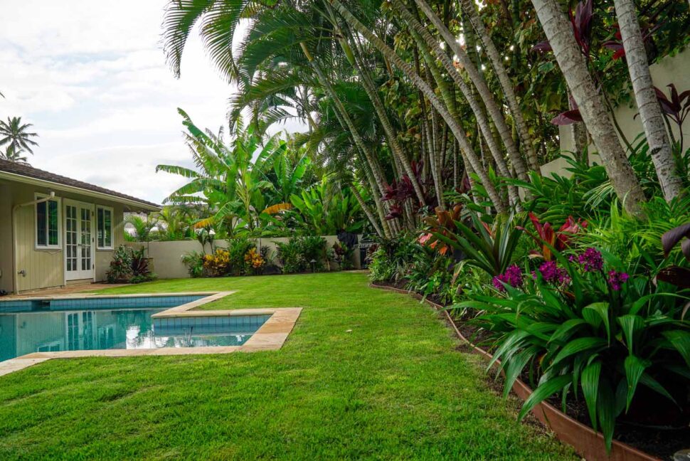 koolau landscaping