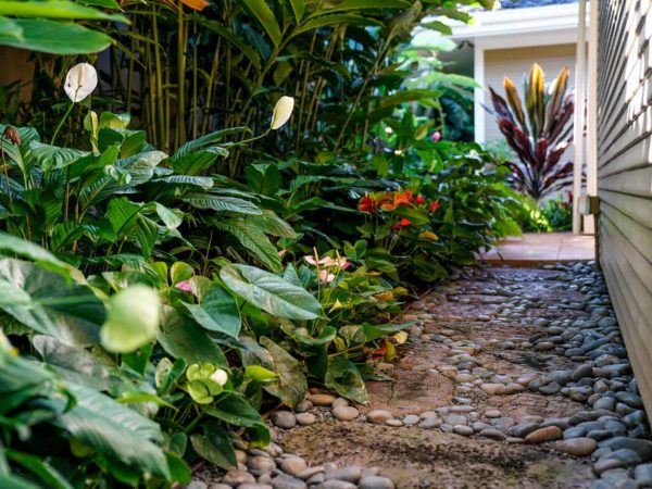 How to Prepare Your Landscape for Future Storms in Hawaiʻi