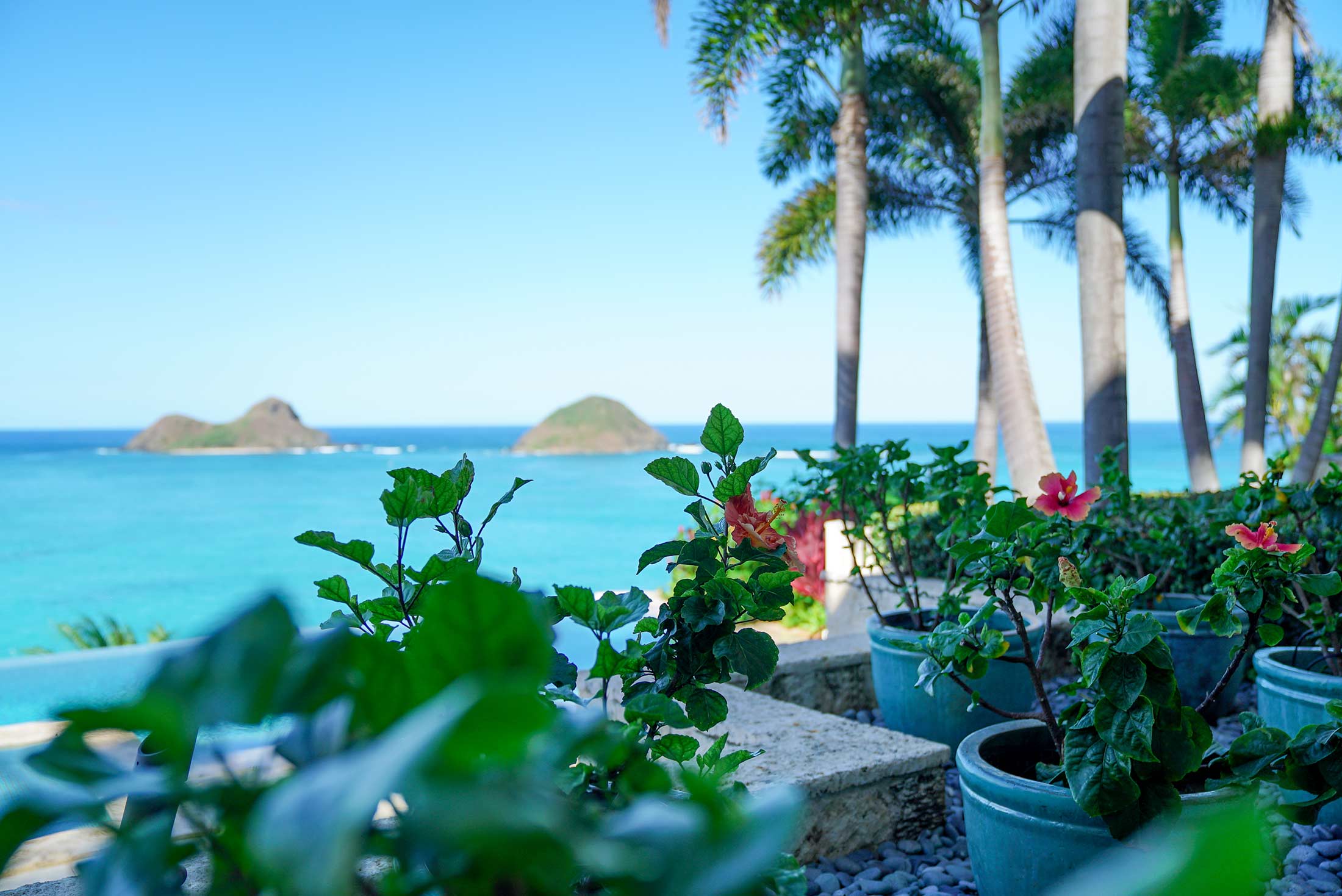Honolulu county landscaping