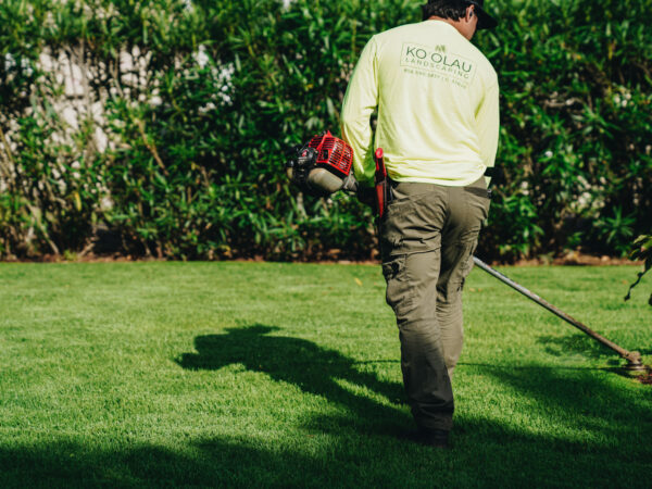 How to Take Advantage of Heavy Rain in Hawaiʻi: A Koʻolau Landscaping Guide for Healthier, Greener Yards