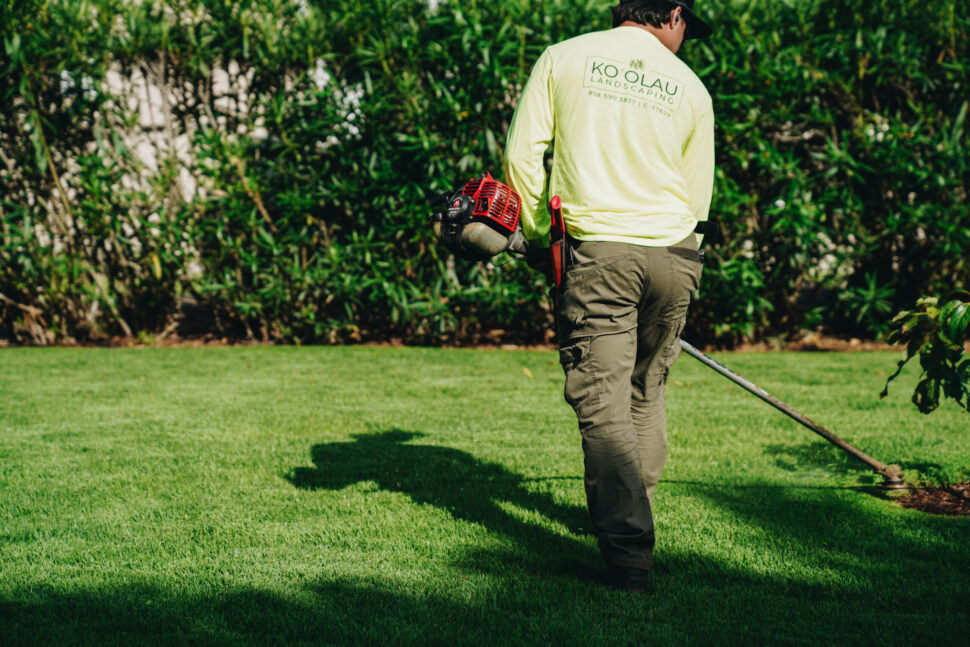 Use Oʻahu’s recent rain to upgrade your landscape. Koʻolau Landscaping shares expert tips for drainage, planting, and yard recovery in windward communities.