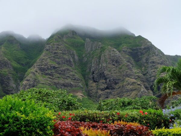 Complete Guide to Landscaping Services on Oahu: Everything You Need to Know