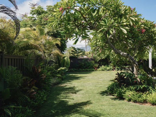 Summer Landscape Maintenance Tips for Hawaii Homeowners and Property Managers