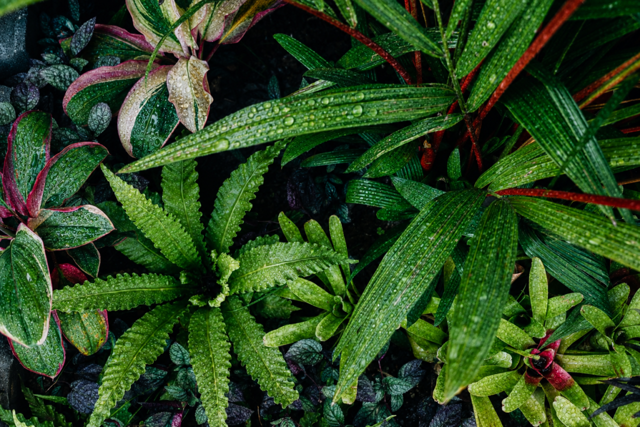 sprinkler maintenance oahu