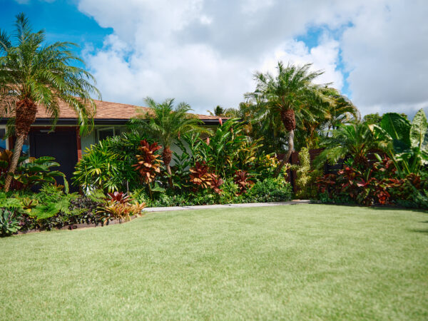 Summer Landscaping in Hawaiʻi: How to Keep Your Yard Healthy Through the Heat