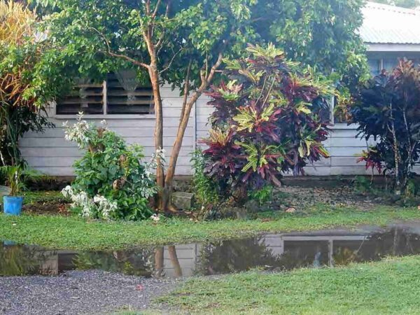 Landscape Drainage on Oʻahu: How to Protect Your Yard From Standing Water and Erosion