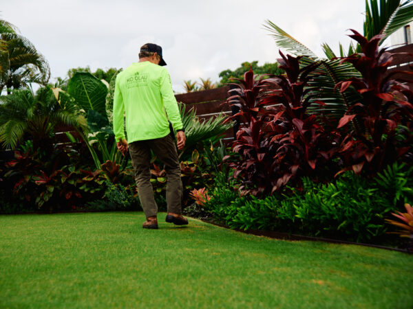 How Professional Landscaping Can Increase Your Home’s Real Estate Value