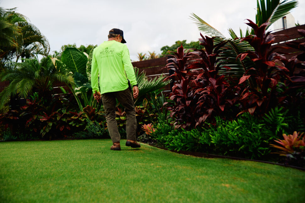 kailua landscaping